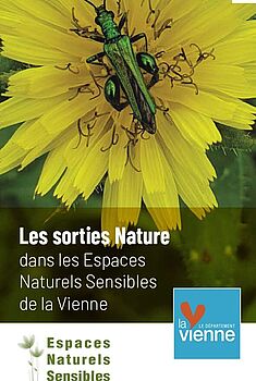 La biodiversité du site à l'automne