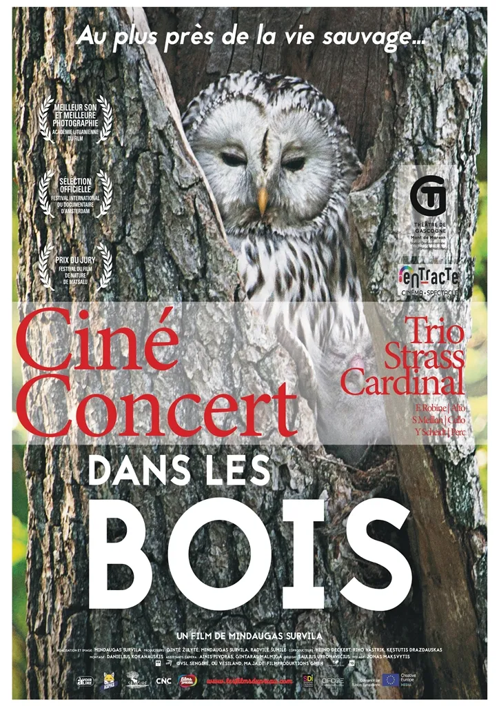 Ciné-concert Cie Le Limaçon "Dans les bois"