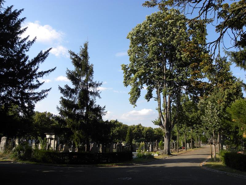 Visite guidée le cimetière