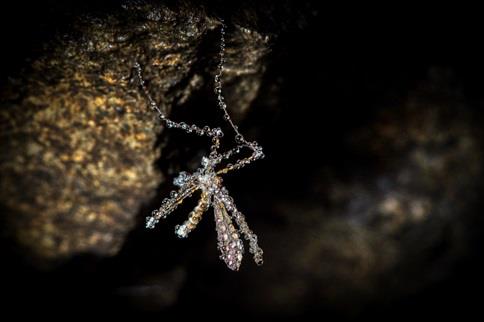 EXPOSITION DE PHOTOGRAPHIES DU MONDE SOUTERRAIN AU FIRMAMENT DE THIERRY VINCENT