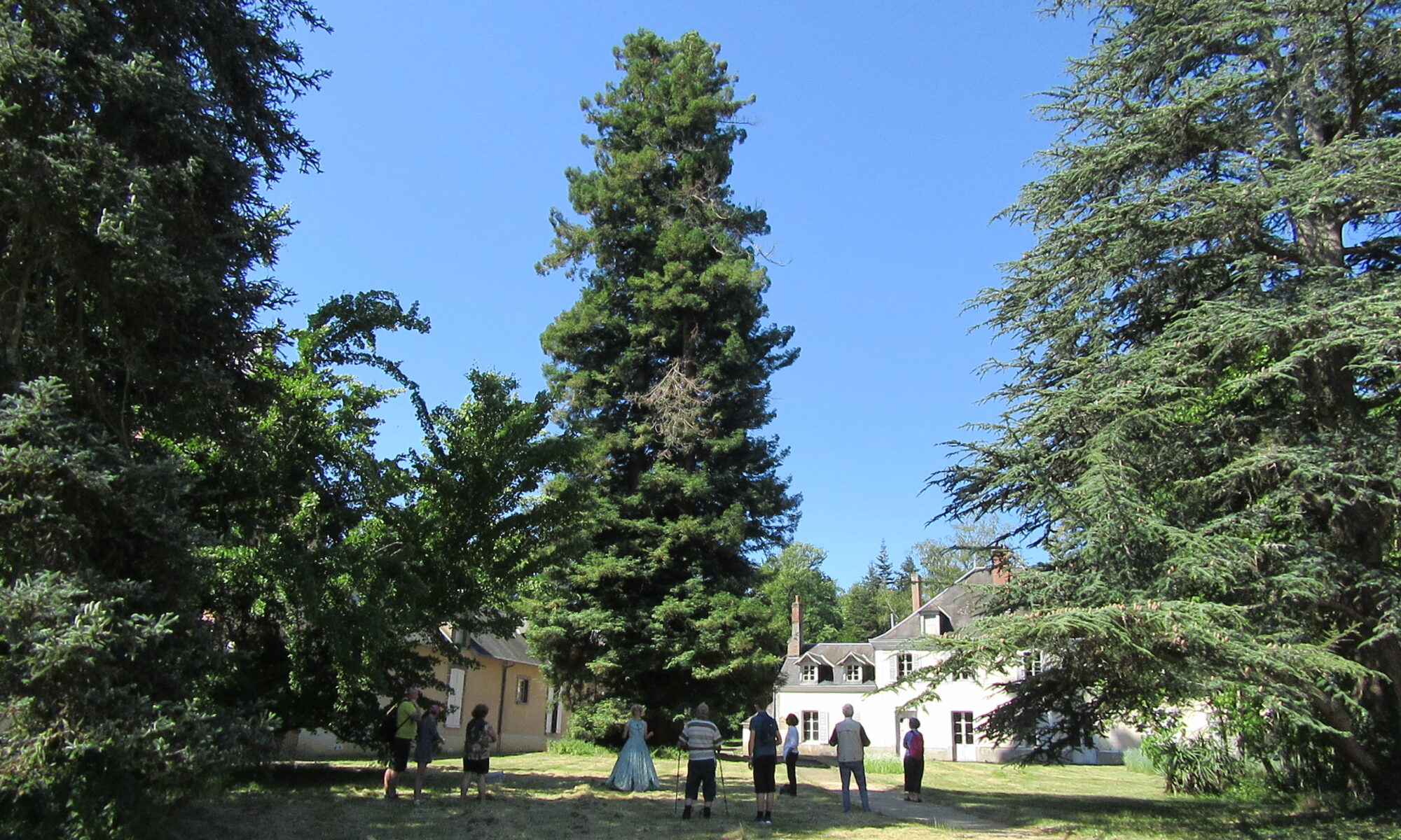 Ouverture de l'Arboretum des Barres