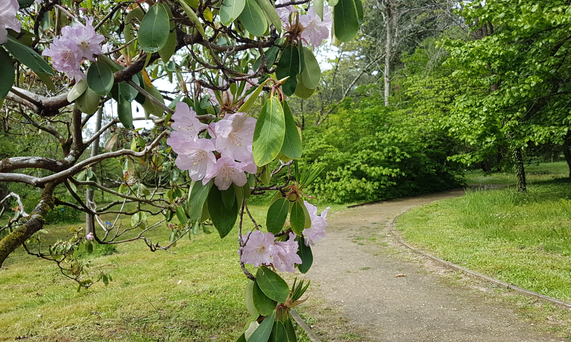 Ouverture de l'Arboretum des Barres