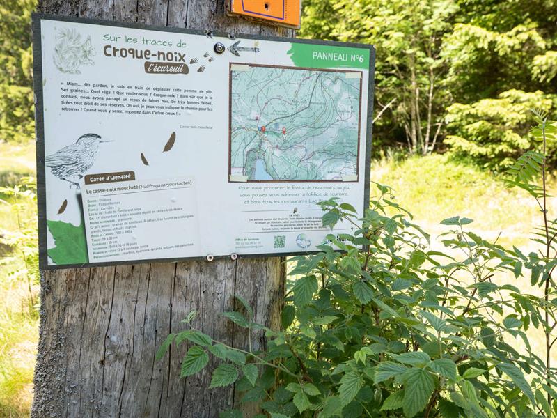 Jeu de piste Sur les traces de Croque-Noix