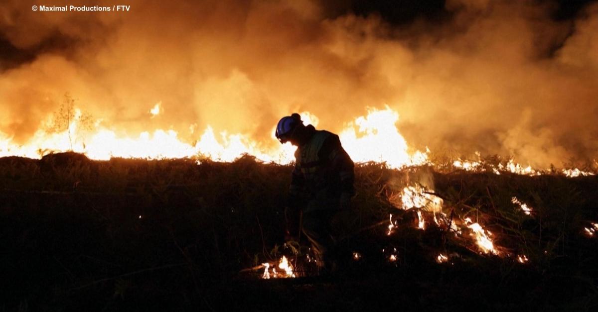 Mois du doc Les Gardiens de la forêt des Landes