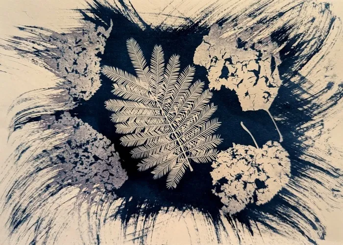 Atelier Cyanotype Parking de la Maison des arts et de la nature Villesèquelande