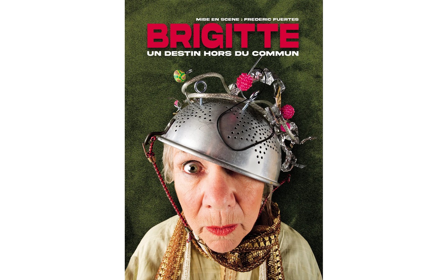 Brigitte un destin hors du commun