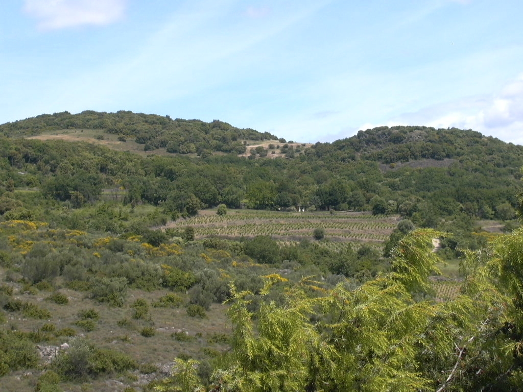 AUTOUR DU VOLCANISME DE PÉRET