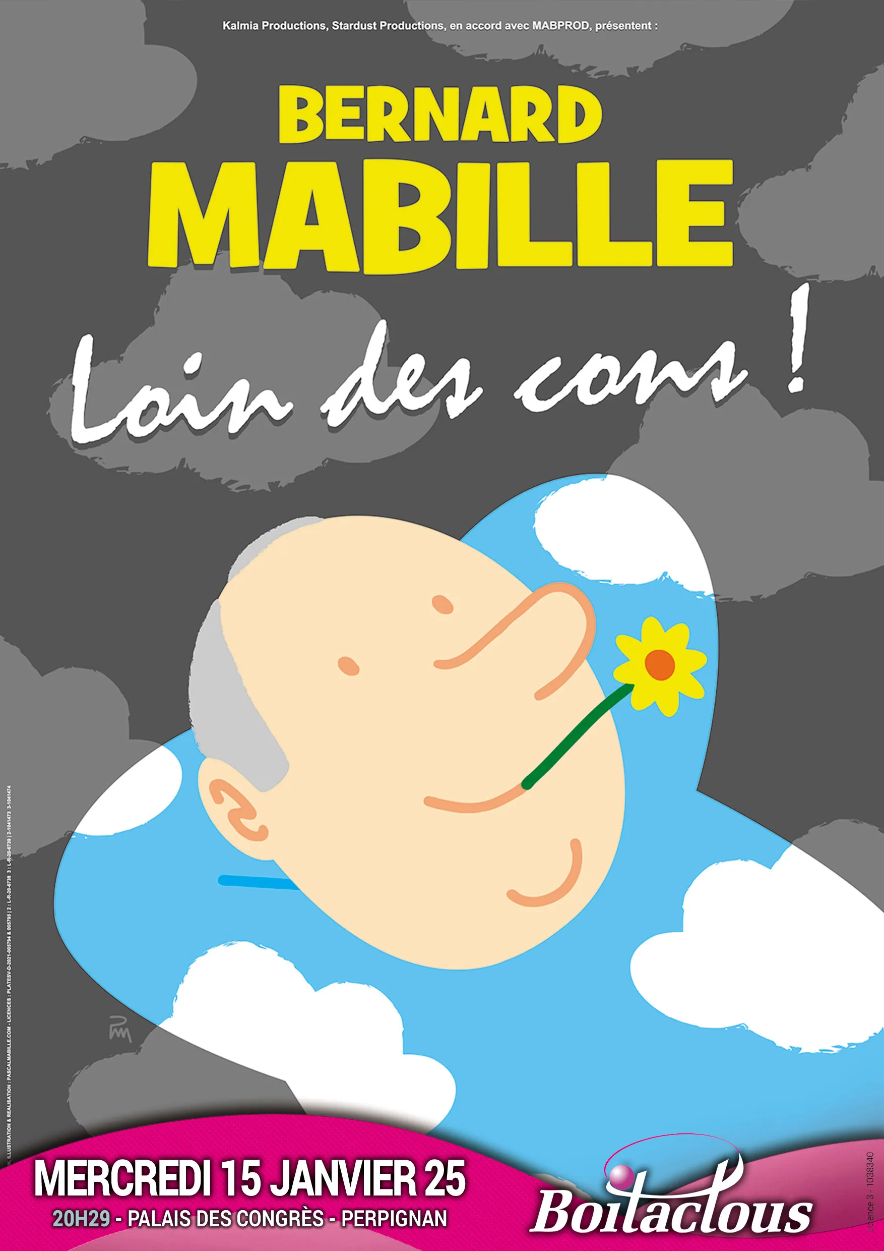 BERNARD MABILLE LOIN DES CONS !