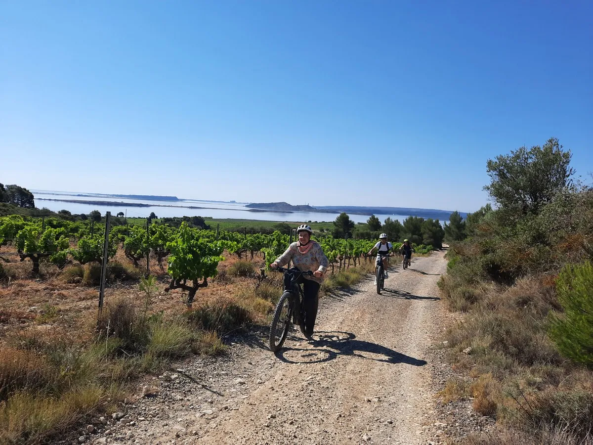 FWE 2024 BALADE E-VTT AVEC HUGO ET DÉGUSTATION AU CHÂTEAU FABRE CORDON