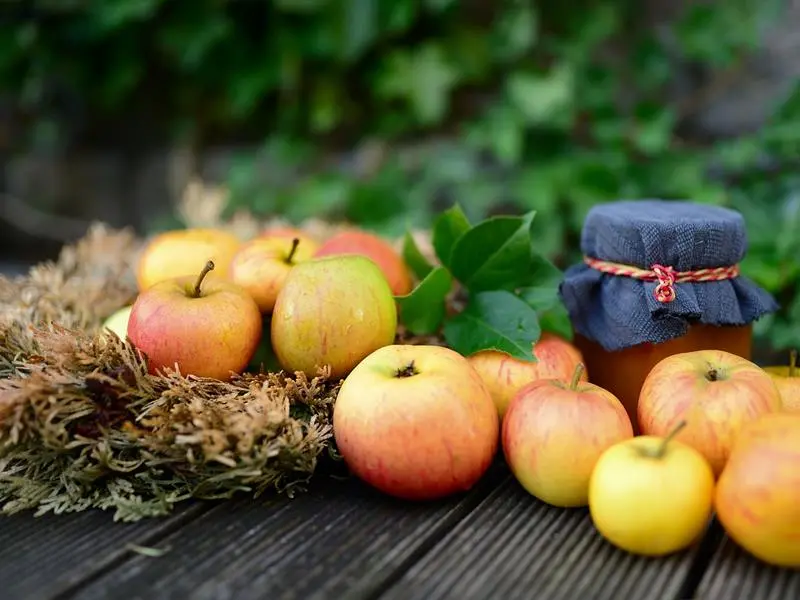 Exposition de fruits de nos vergers