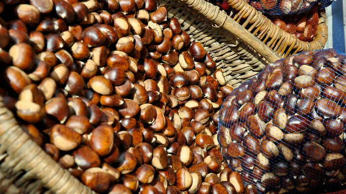 Traditionnelle affachade Place de la Haute-Levade Sainte-Cécile-d'Andorge