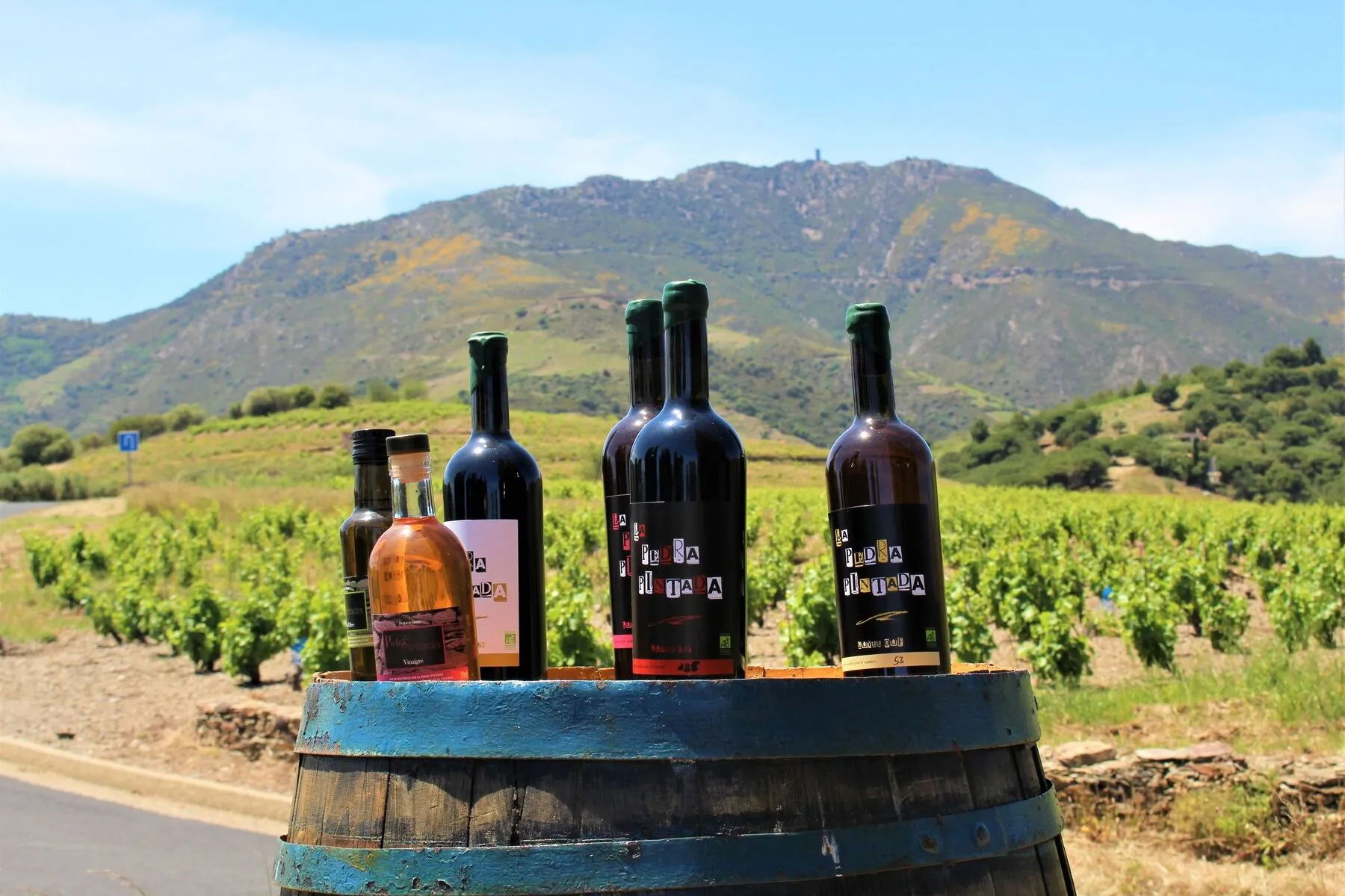 FASCINANT WEEK-END JOURNÉE DÉCOUVERTE DU VIN NATUREL AU DOMAINE LA PEDRA PINTADA