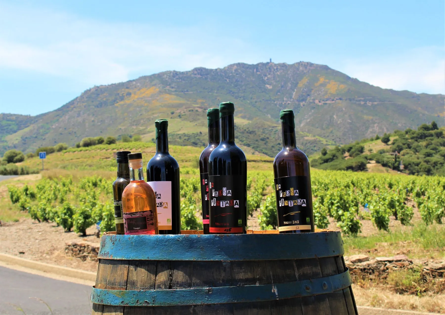 FASCINANT WEEK-END JOURNÉE DÉCOUVERTE DU VIN NATUREL AU DOMAINE LA PEDRA PINTADA