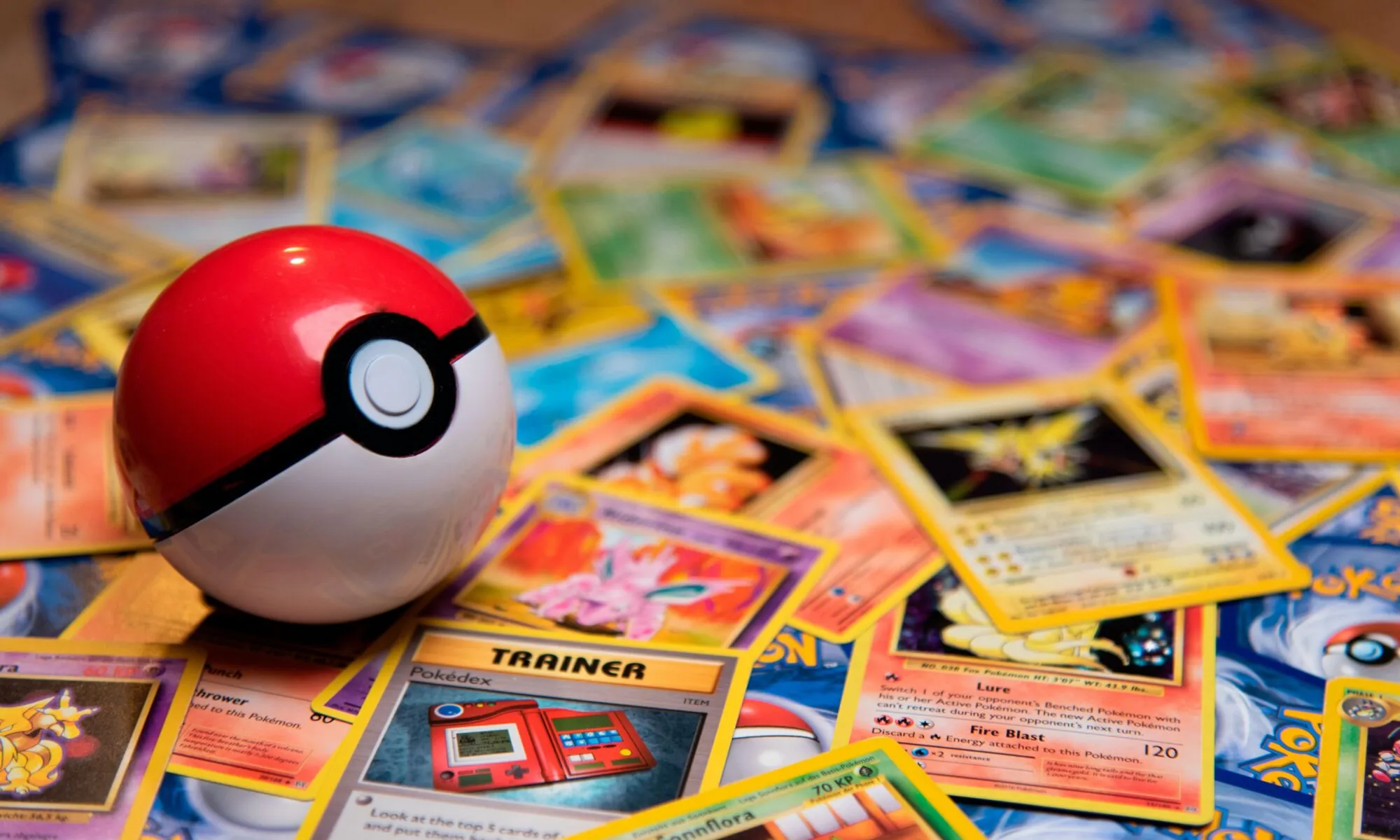 Tournoi de Cartes Pokémon