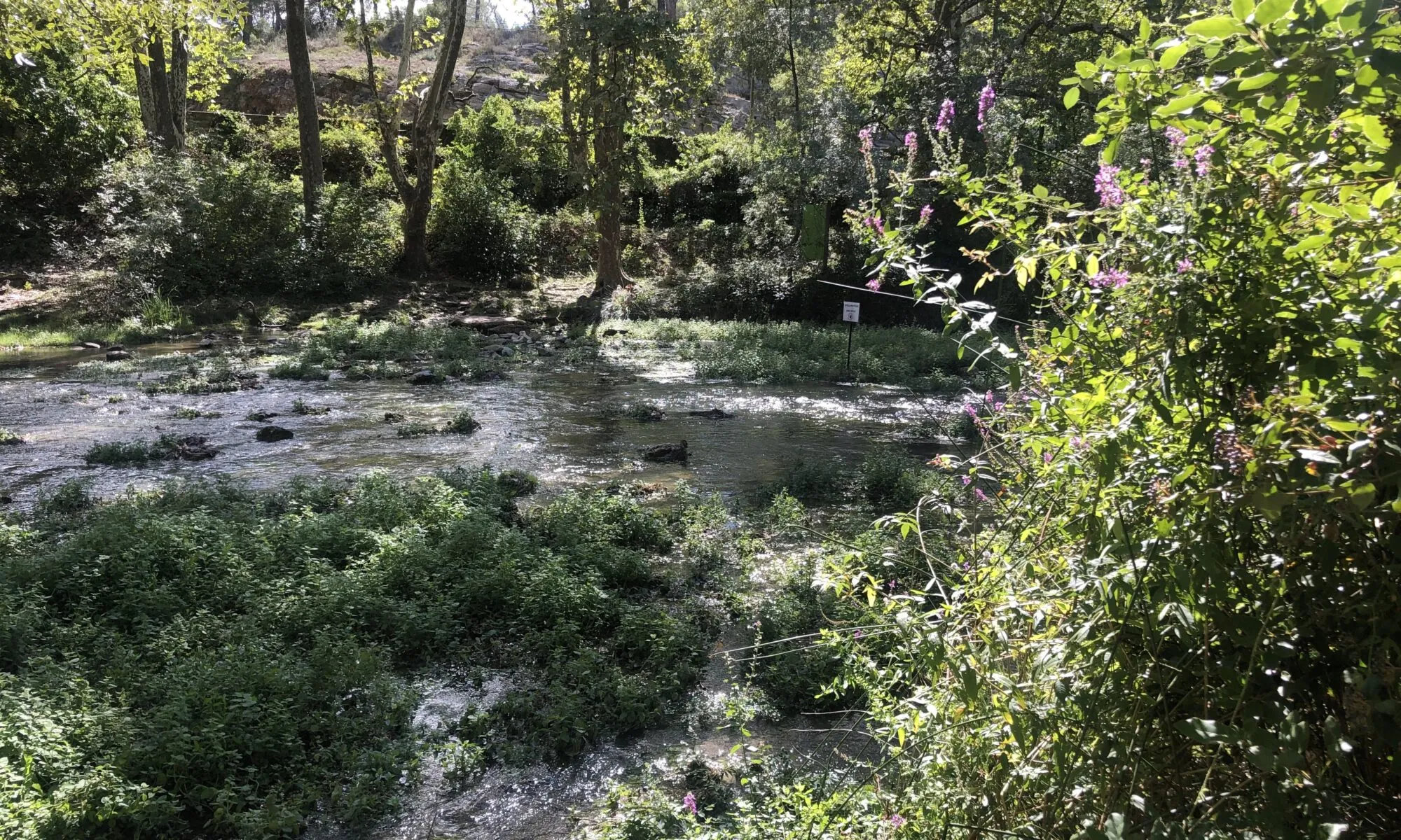 LES RIVIÈRES DU DOMAINE DE RESTINCLIÈRES