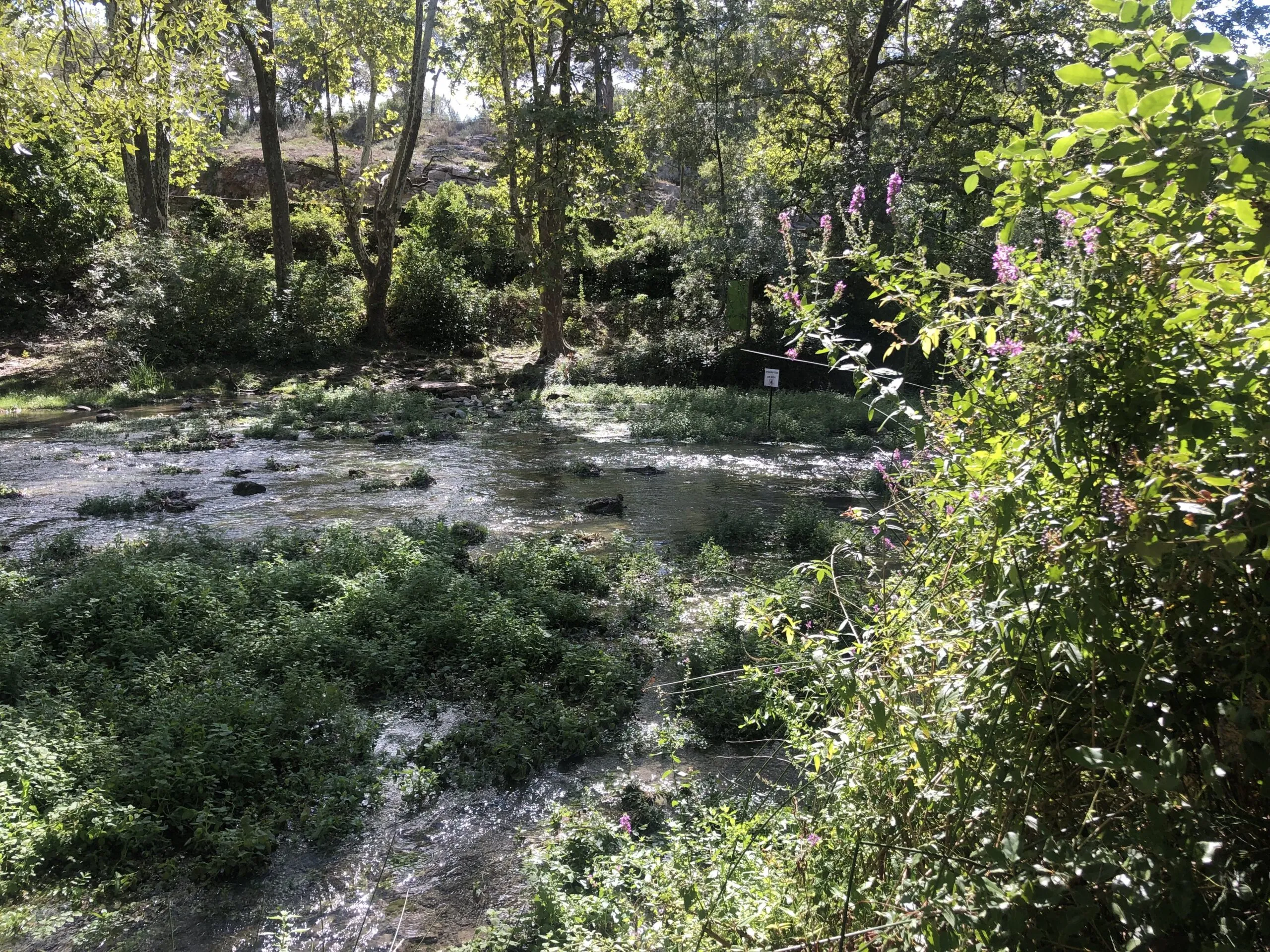 LES RIVIÈRES DU DOMAINE DE RESTINCLIÈRES