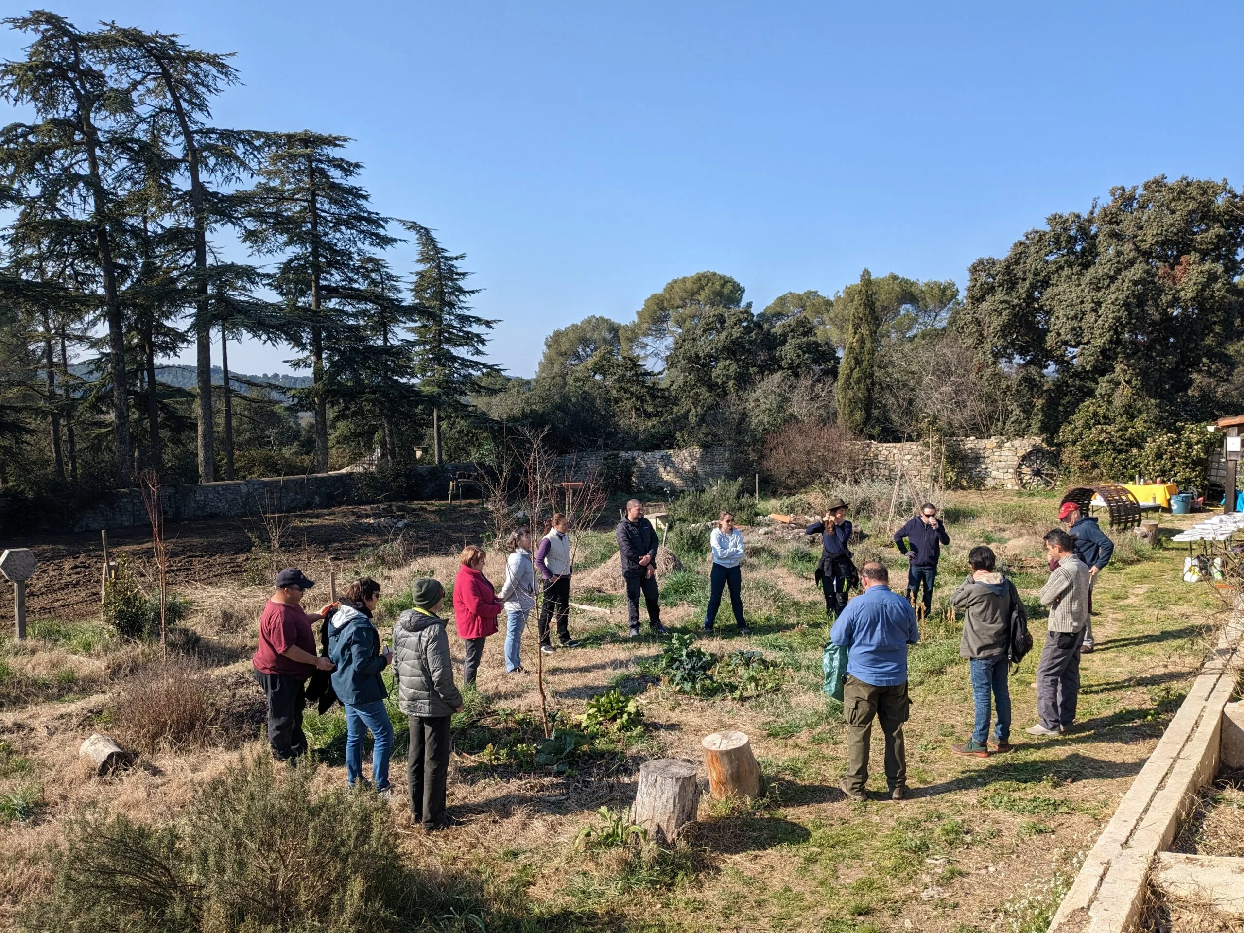 CHANTIER PARTICIPATIF "PLANTATION D’UN BOSQUET FRUITIER "