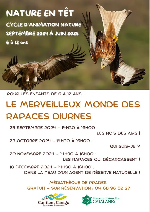 LES GRANDS RAPACES: LES RAPACES QUI DÉCARCASSENT !