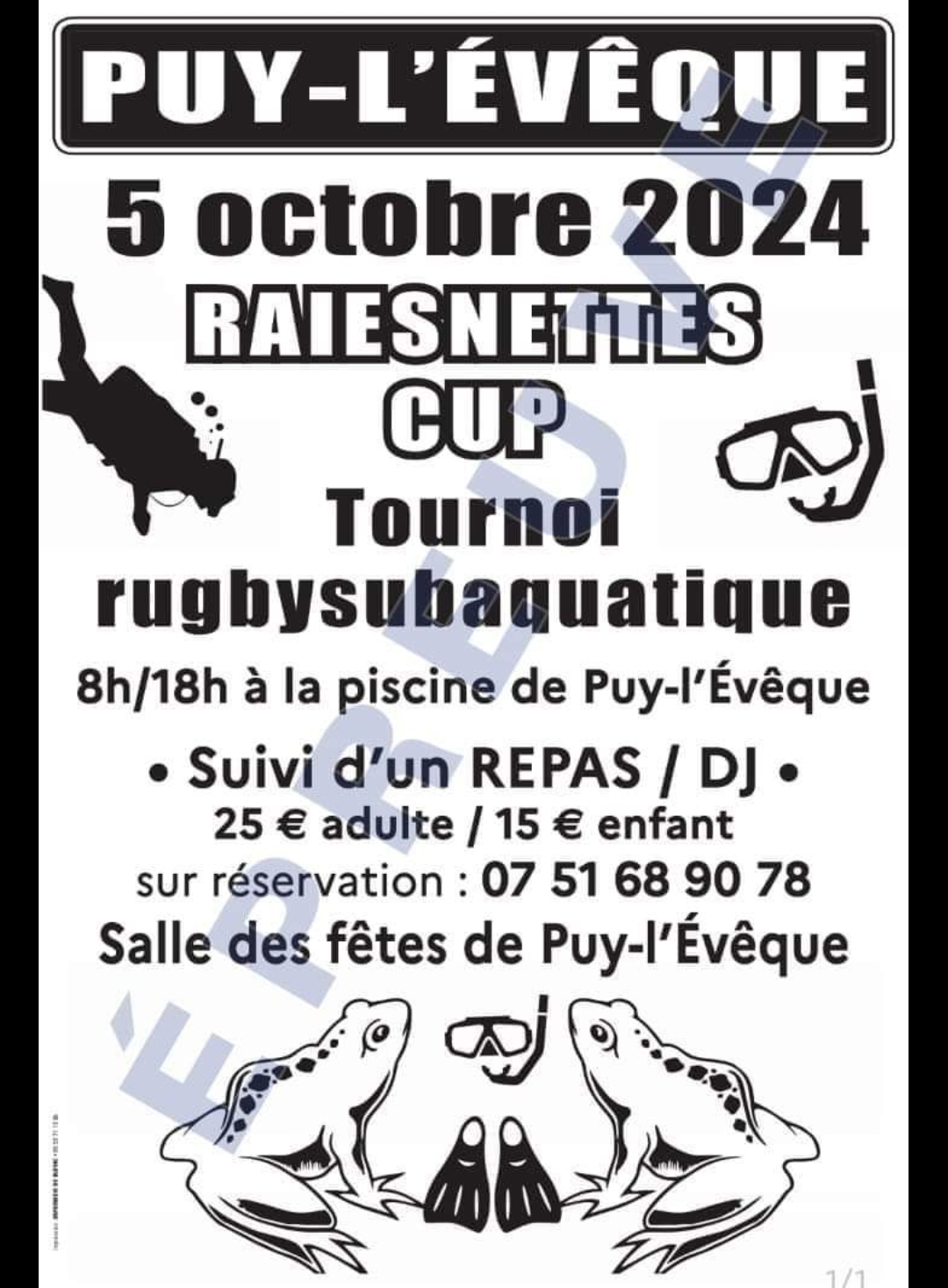 Tournoi de rugby subaquatique