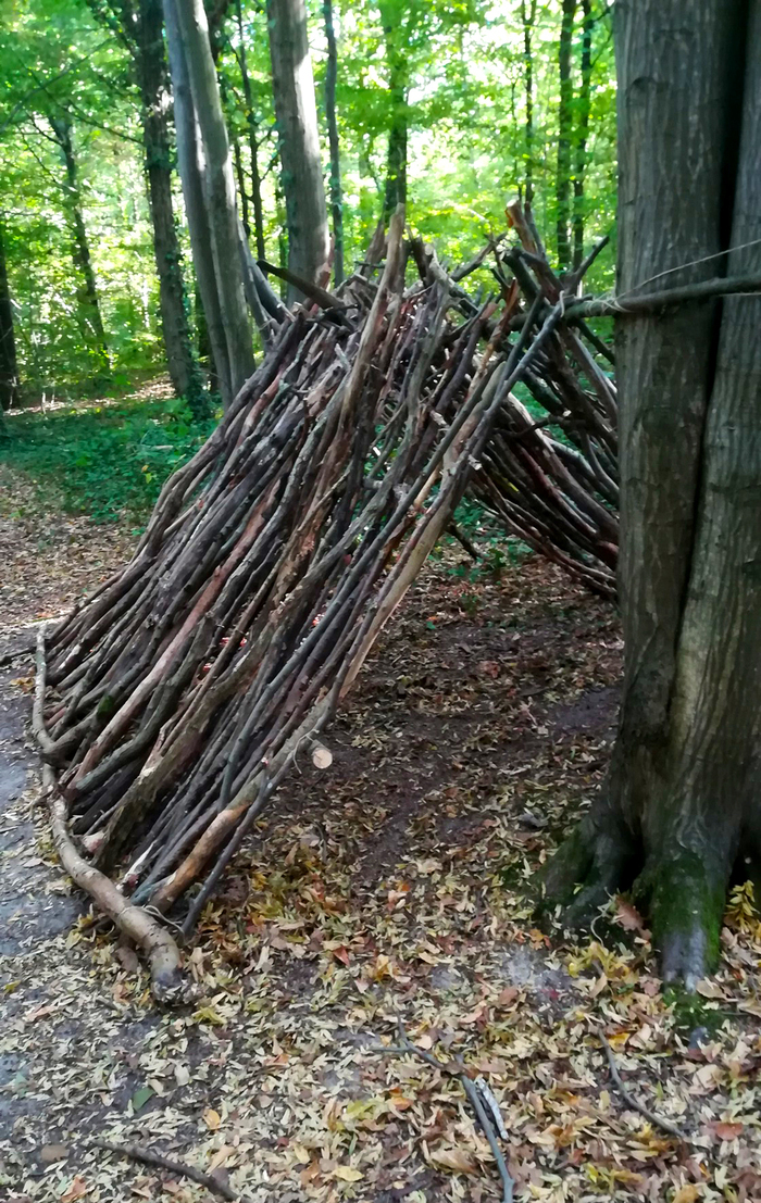 Tous aux abris ! RDV parking n°3 de la forêt de Bondy Clichy-sous-Bois