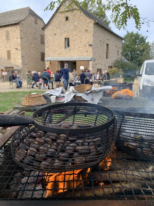 Dégustation de châtaignes