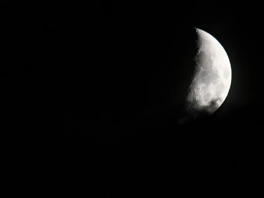 Un soir de plein lune sur la prairie de l'étang Massé