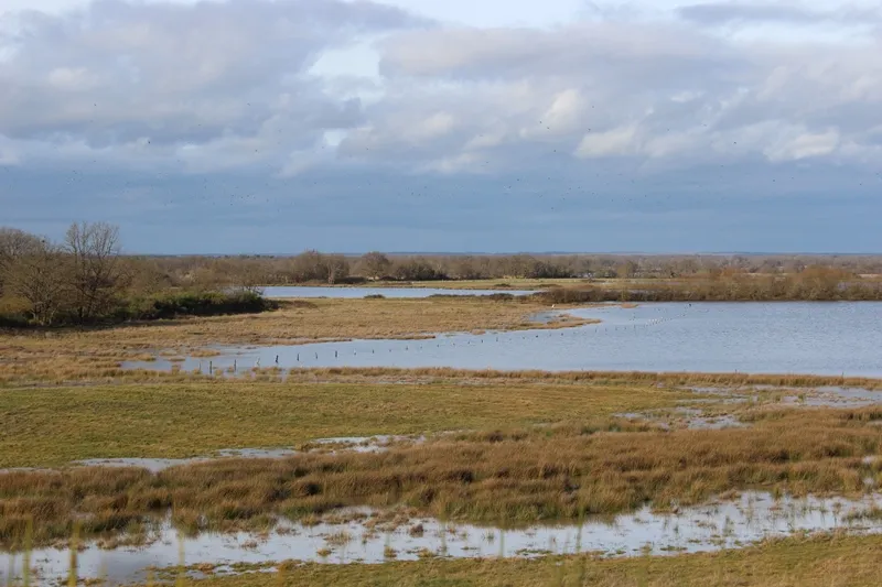 À la découverte de la Réserve Terre et Etangs de Brenne Massé-Foucault