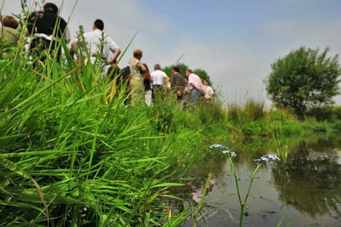 Balade naturaliste : tous azimuts