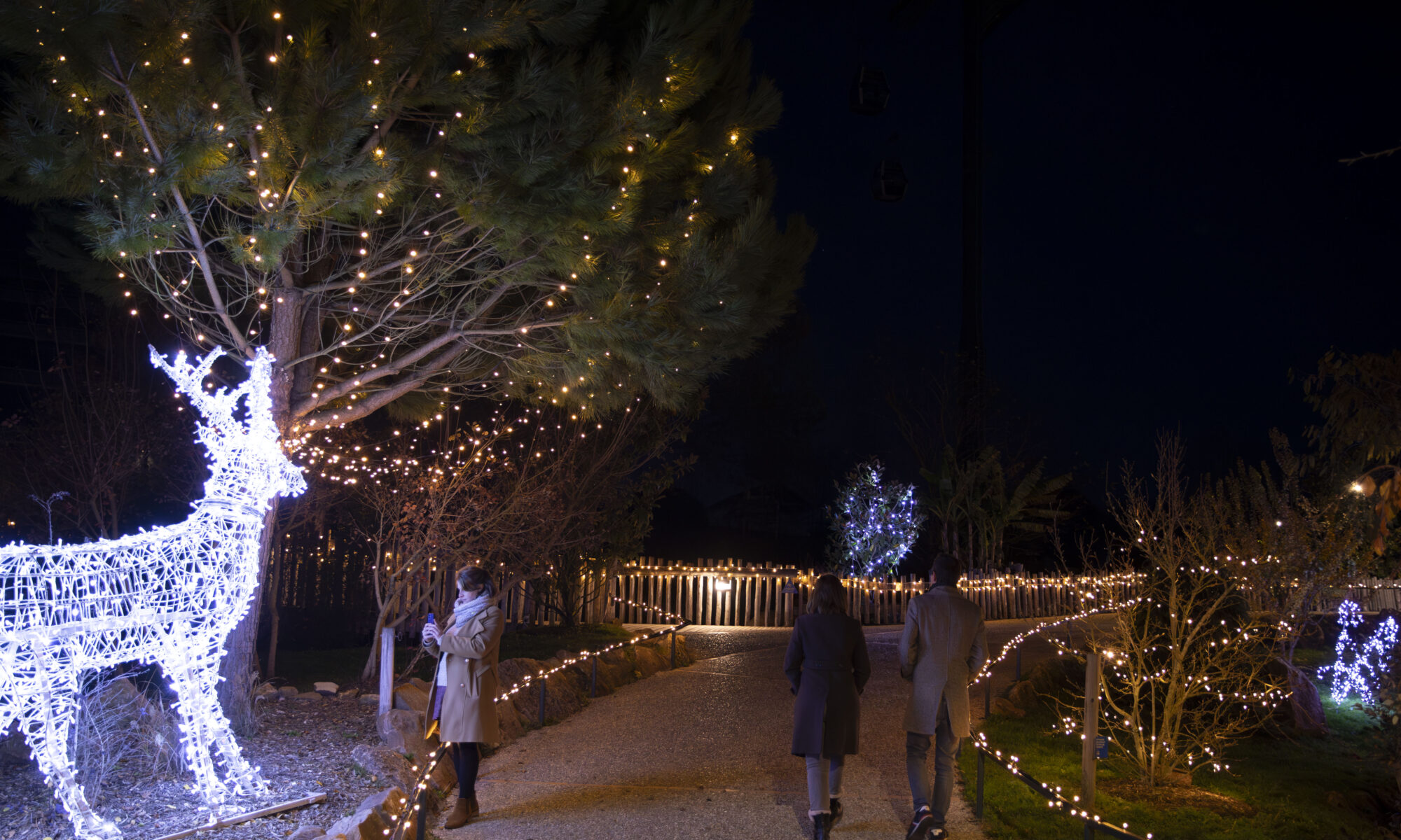 Noël au ZooParc de Beauval