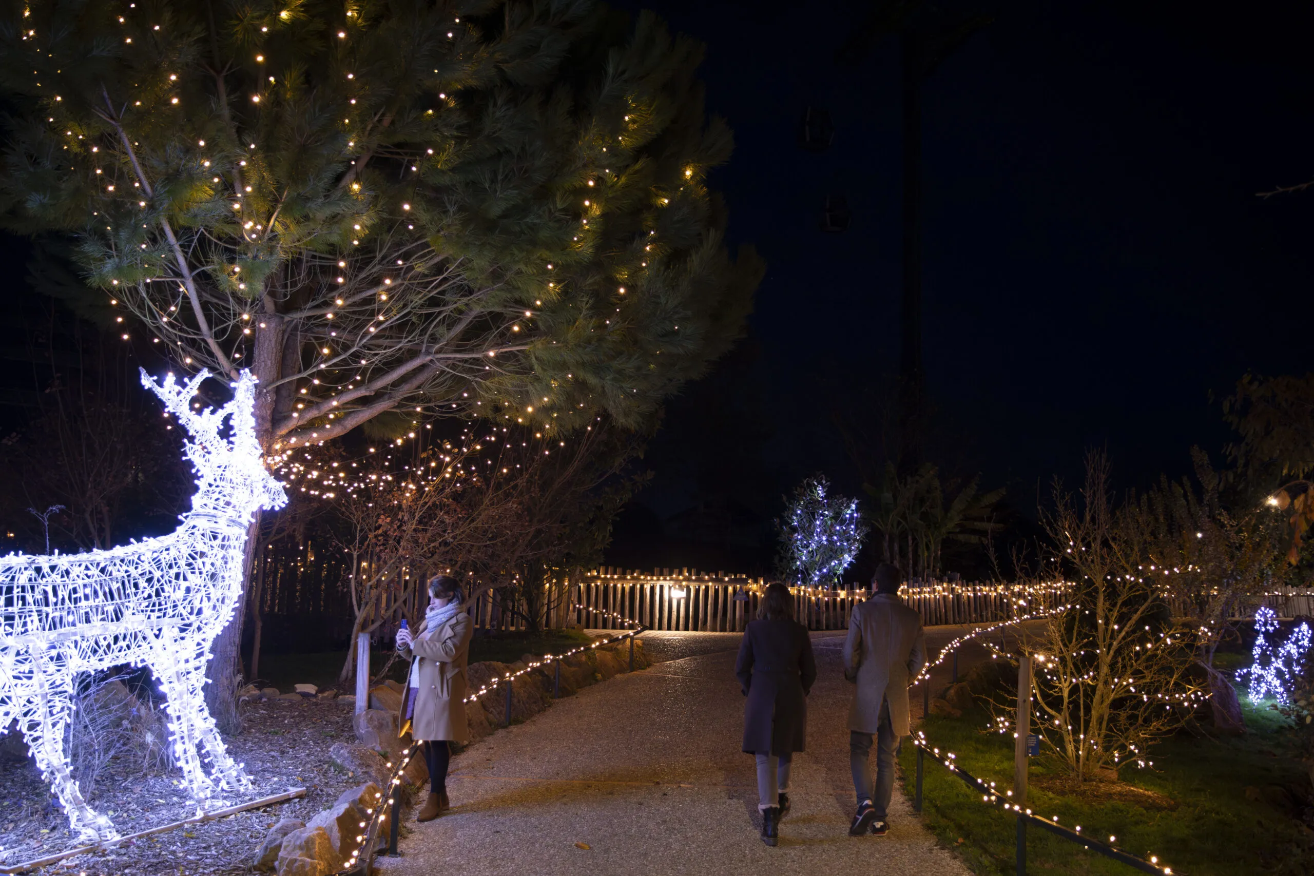 Noël au ZooParc de Beauval