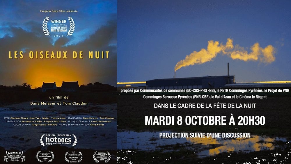 CINEMA SOIRÉE SPÉCIALE LES OISEAUX DE NUIT / LA POLLUTION NOCTURNE