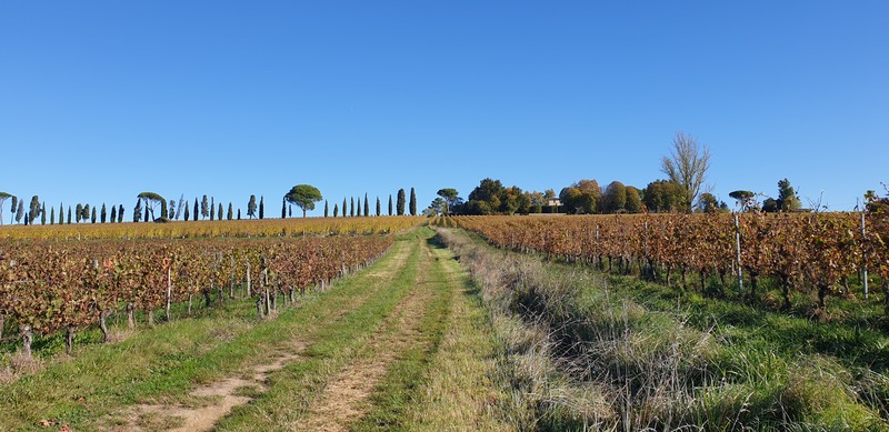 Malagar autrement Entre les vignes