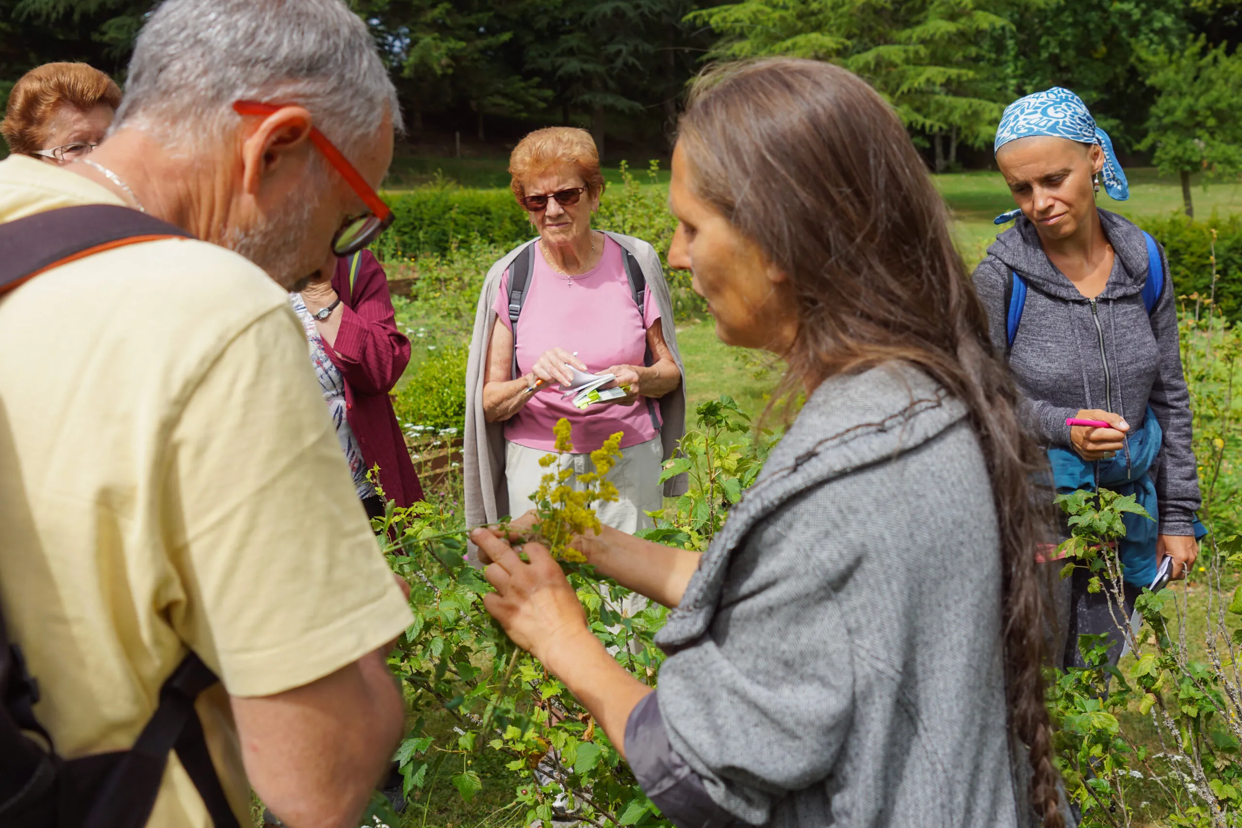 LES SORTIES NATURE LES PLANTES ET LA SORCELLERIE - OT-MEG