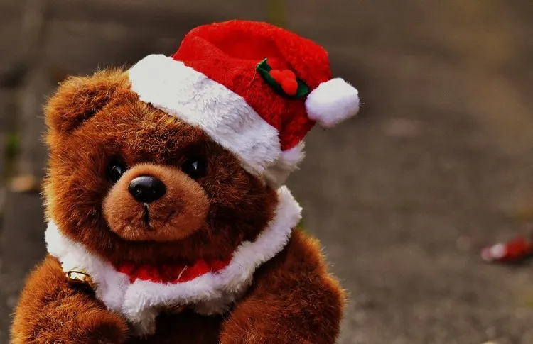 Bourse spéciale Noël à Saint-Antoine Cumond