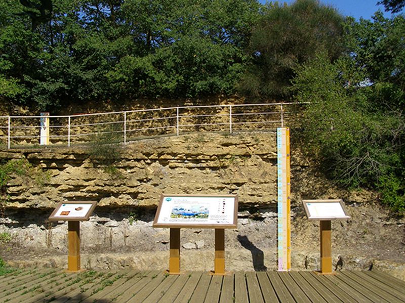 Visite de la Réserve Naturelle Nationale du Toarcien