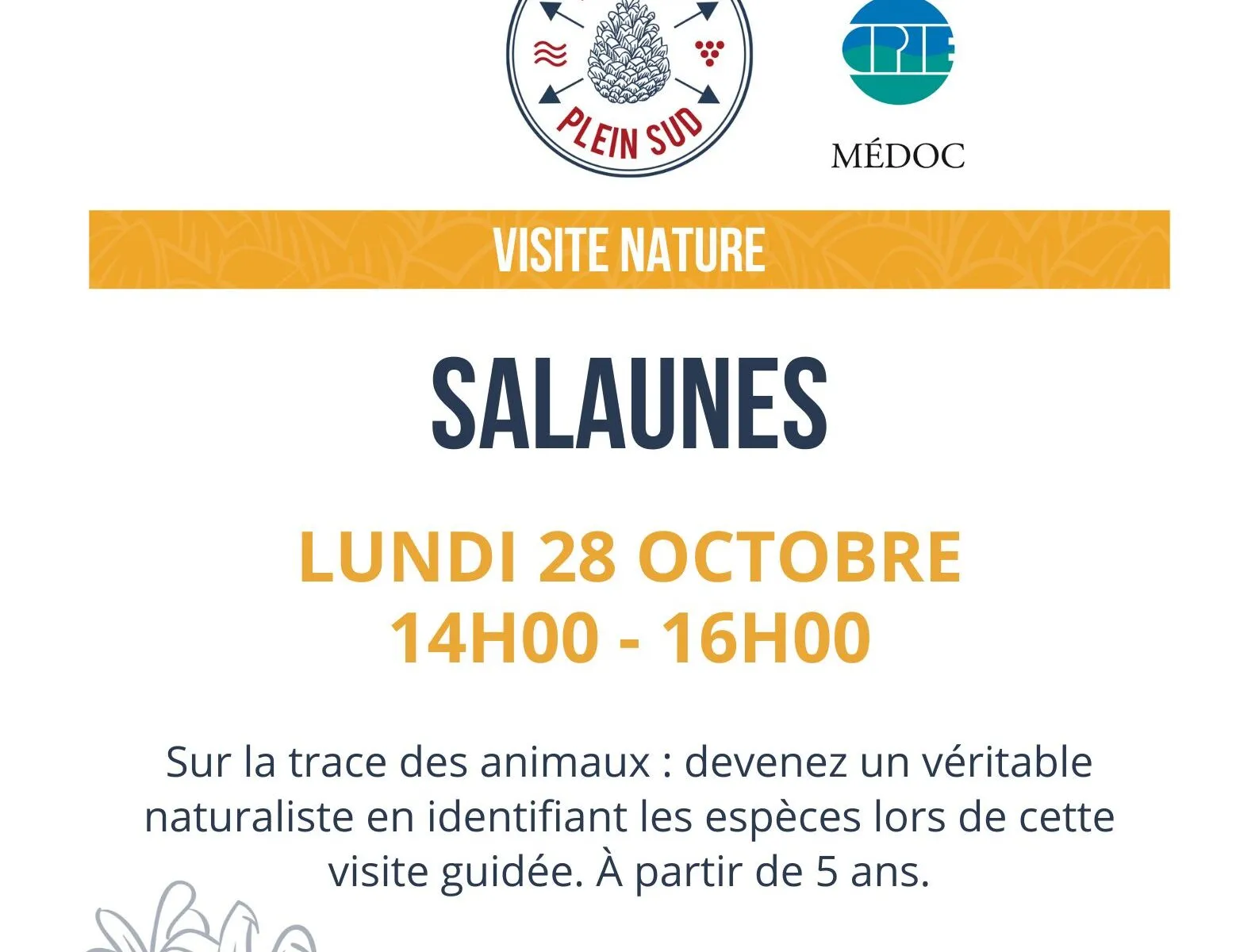 Visite nature. Sur la trace des animaux