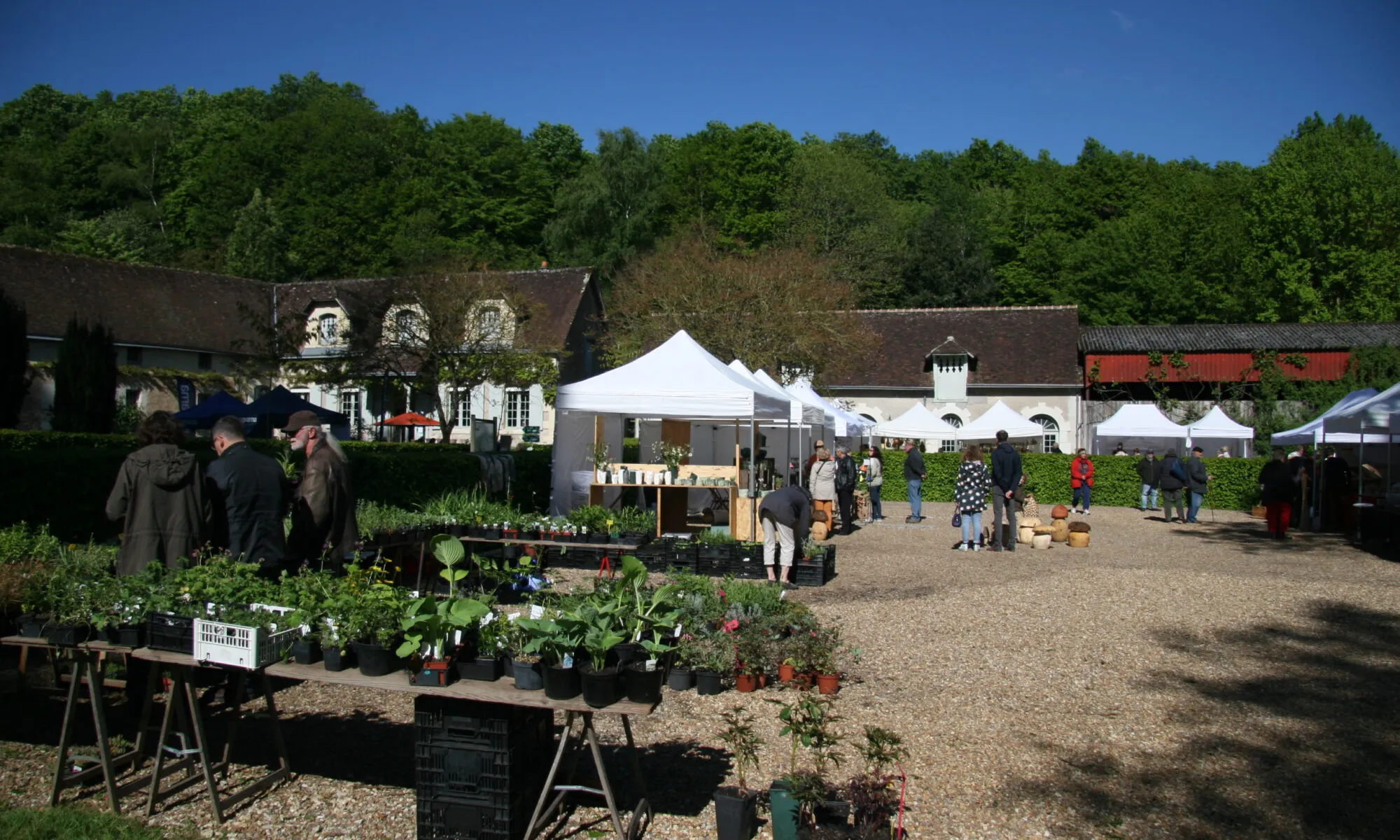 Marché aux plantes et produits du terroir