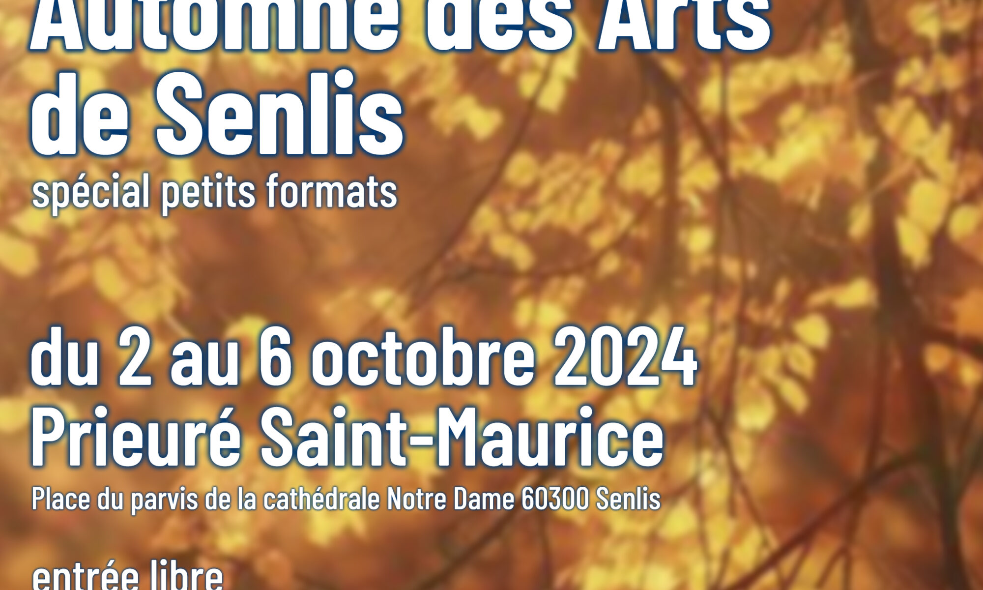 Automne des Arts de Senlis 2024