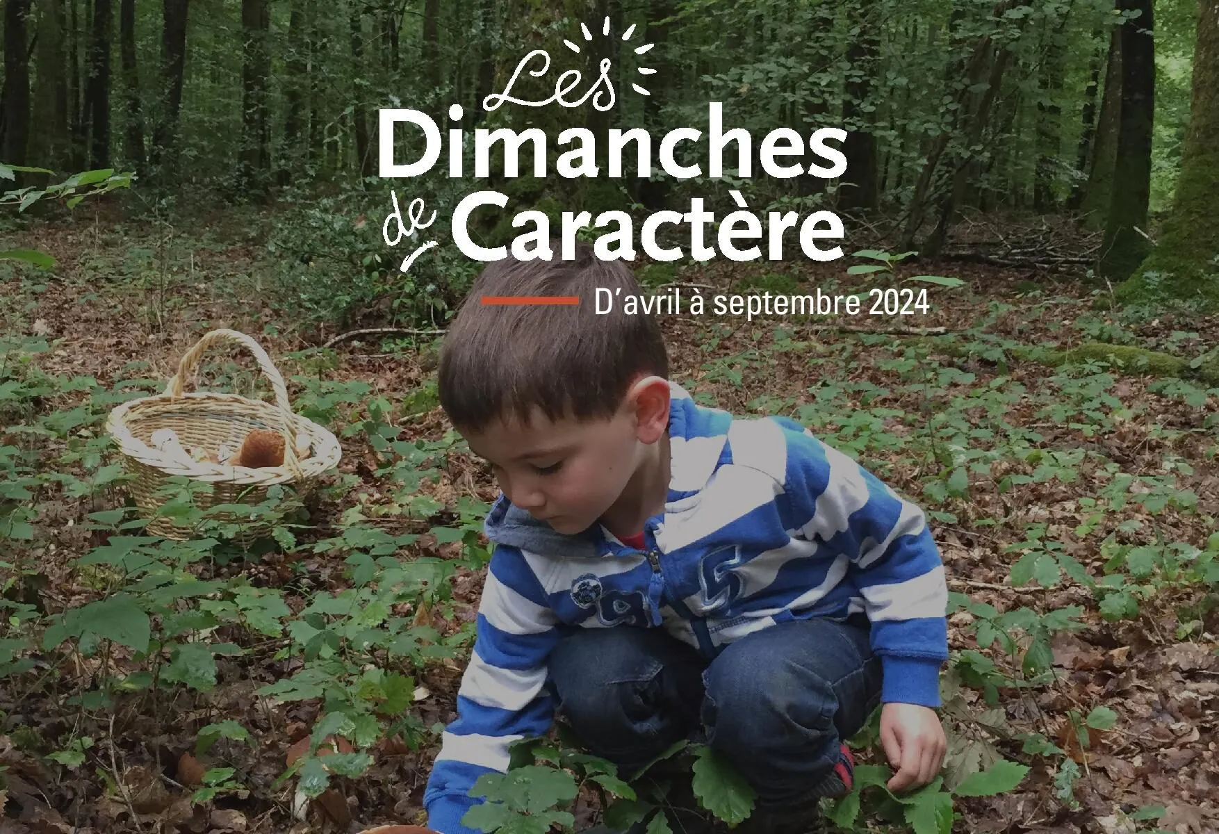 COMPLET Les dimanches de caractère initiation à la découverte des champignons