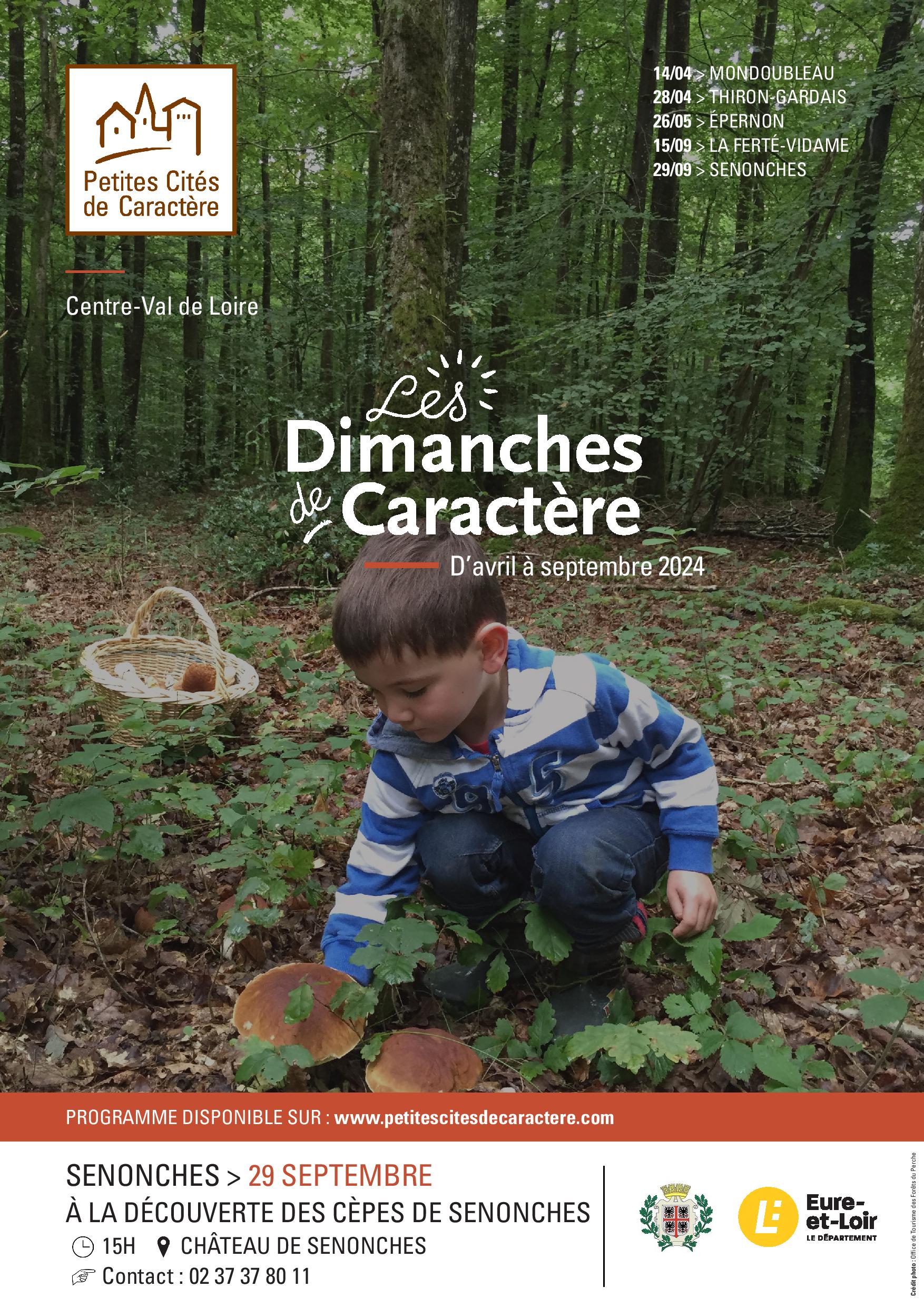 COMPLET Les dimanches de caractère initiation à la découverte des champignons