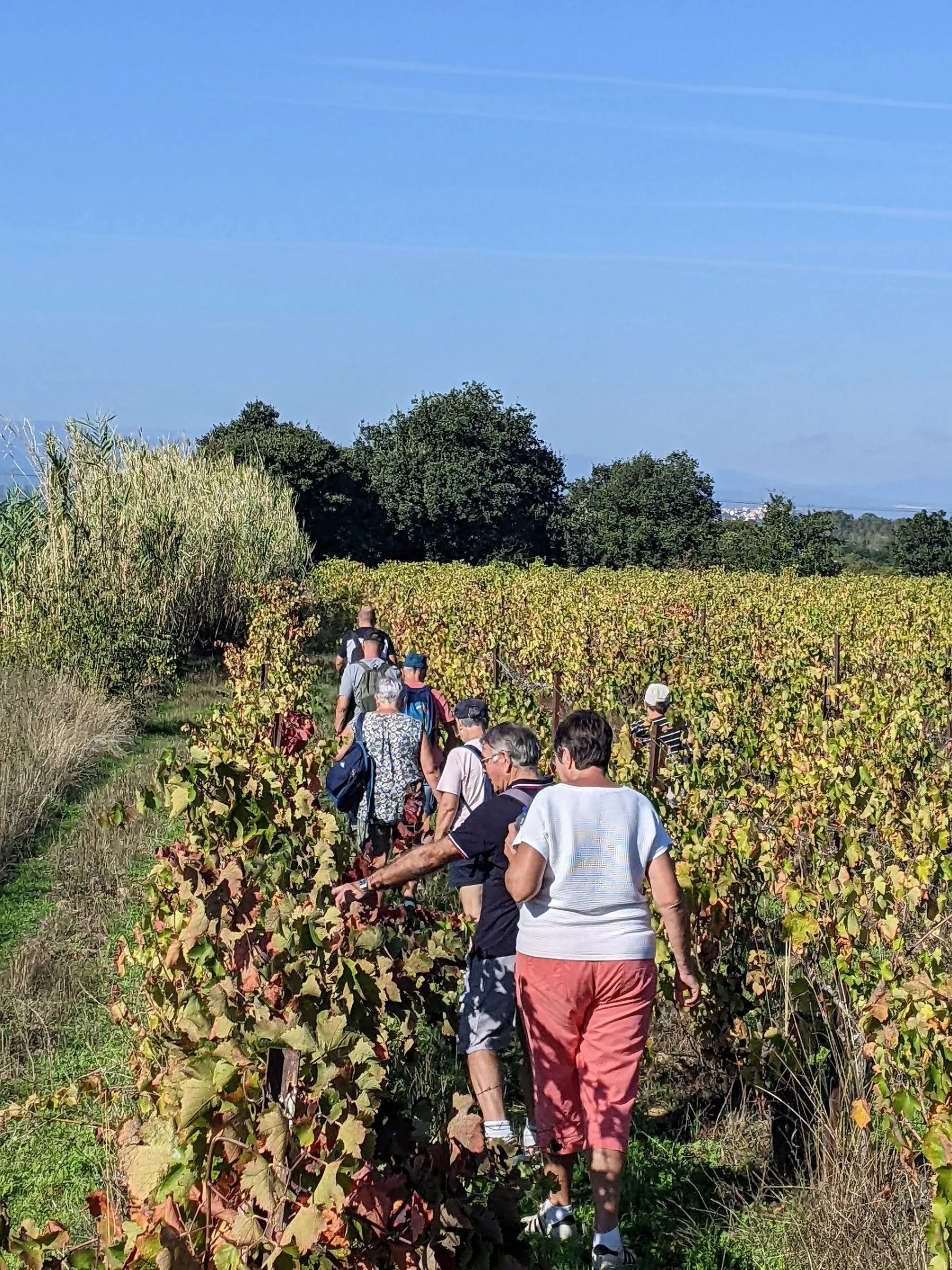 FASCINANT WEEK-END DOMAINE MAS GREGORI "BALADE DINATOIRE DANS LES VIGNES "