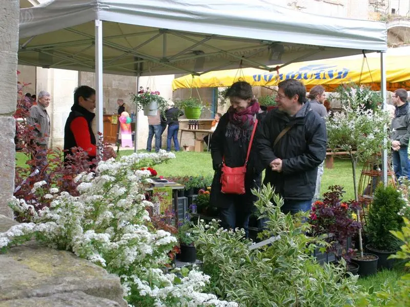 MARCHÉ DE TERROIR