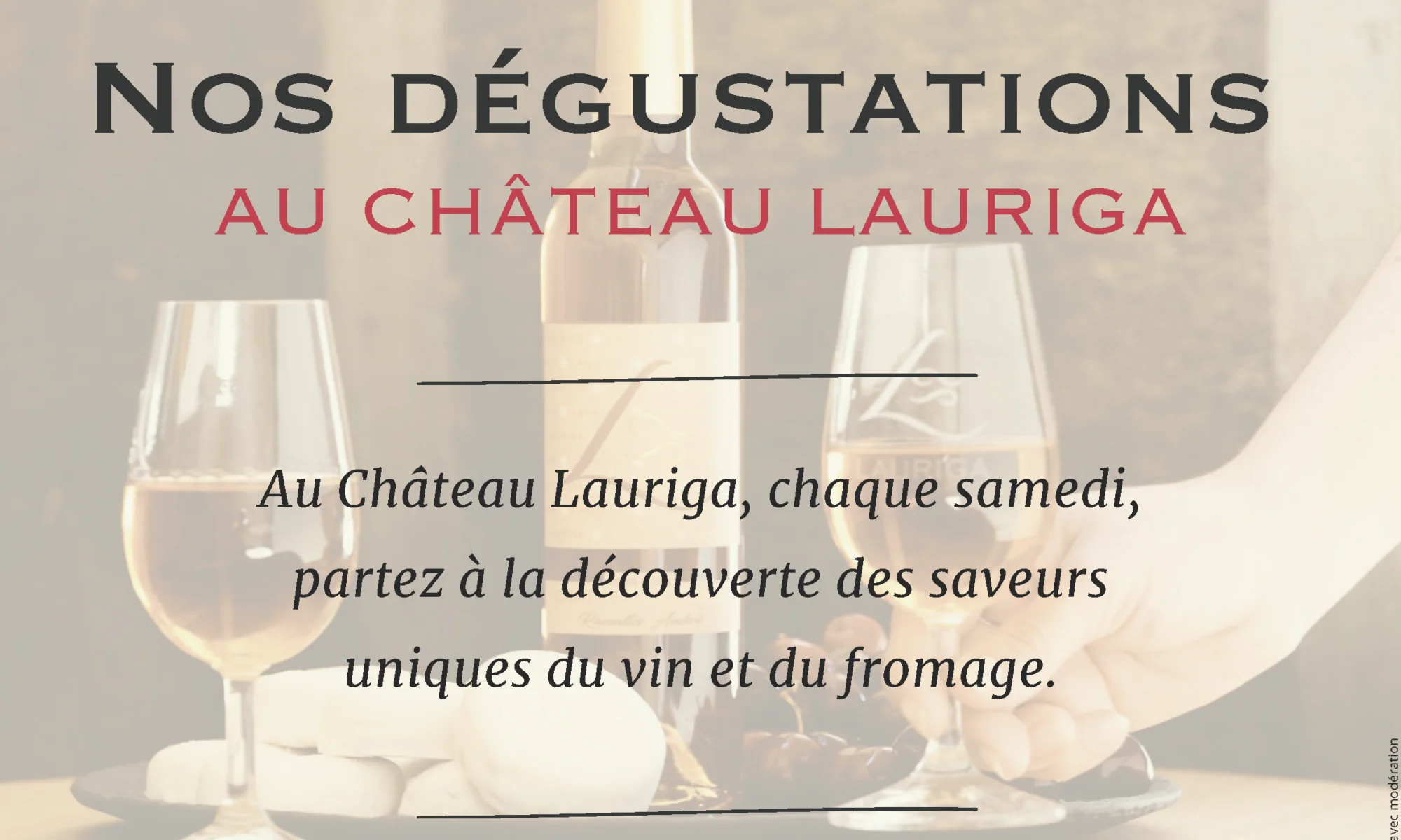 DÉGUSTATION VINS ET FROMAGES AU CHÂTEAU LAURIGA