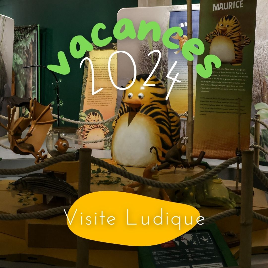 Visite ludique "Les As de la Jungle !"