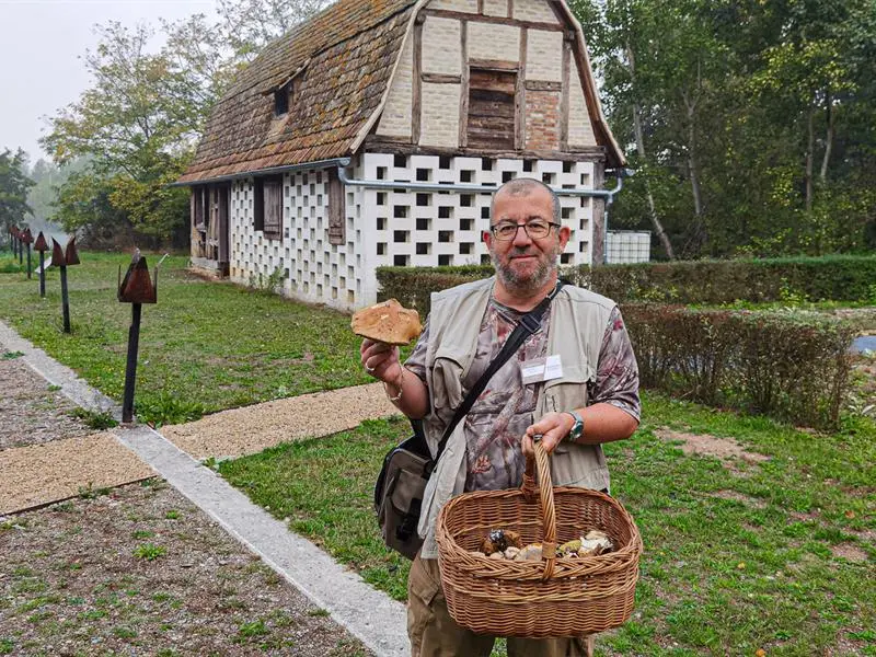 Rendez-vous nature Les champignons