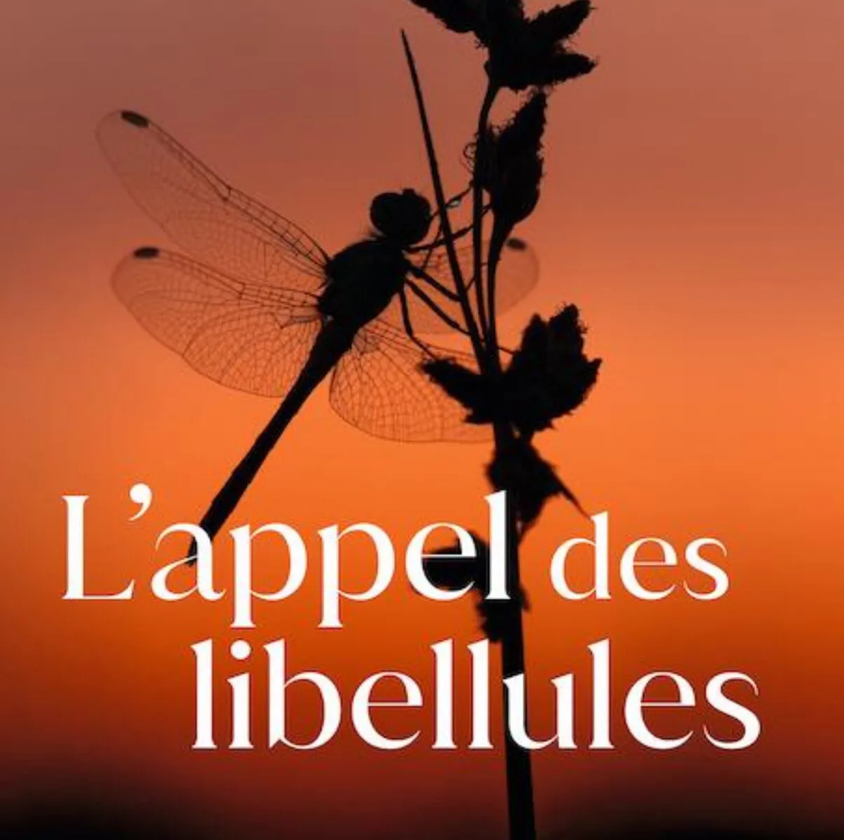 Ciné conférence L'appel des libellules