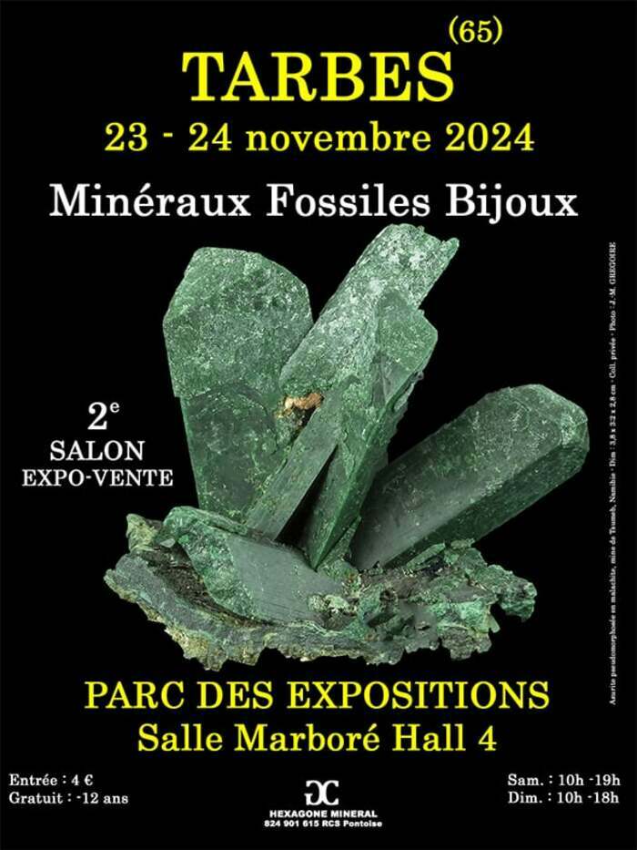 2e SALON MINERAUX FOSSILES BIJOUX de TARBES (Hautes-Pyrénées) Parc des Expositions Tarbes