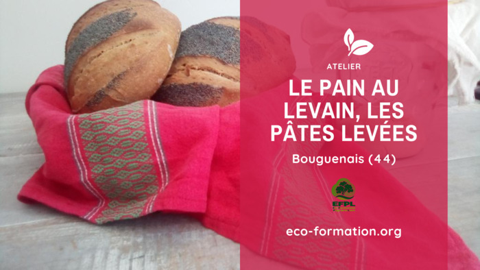 Le pain au levain