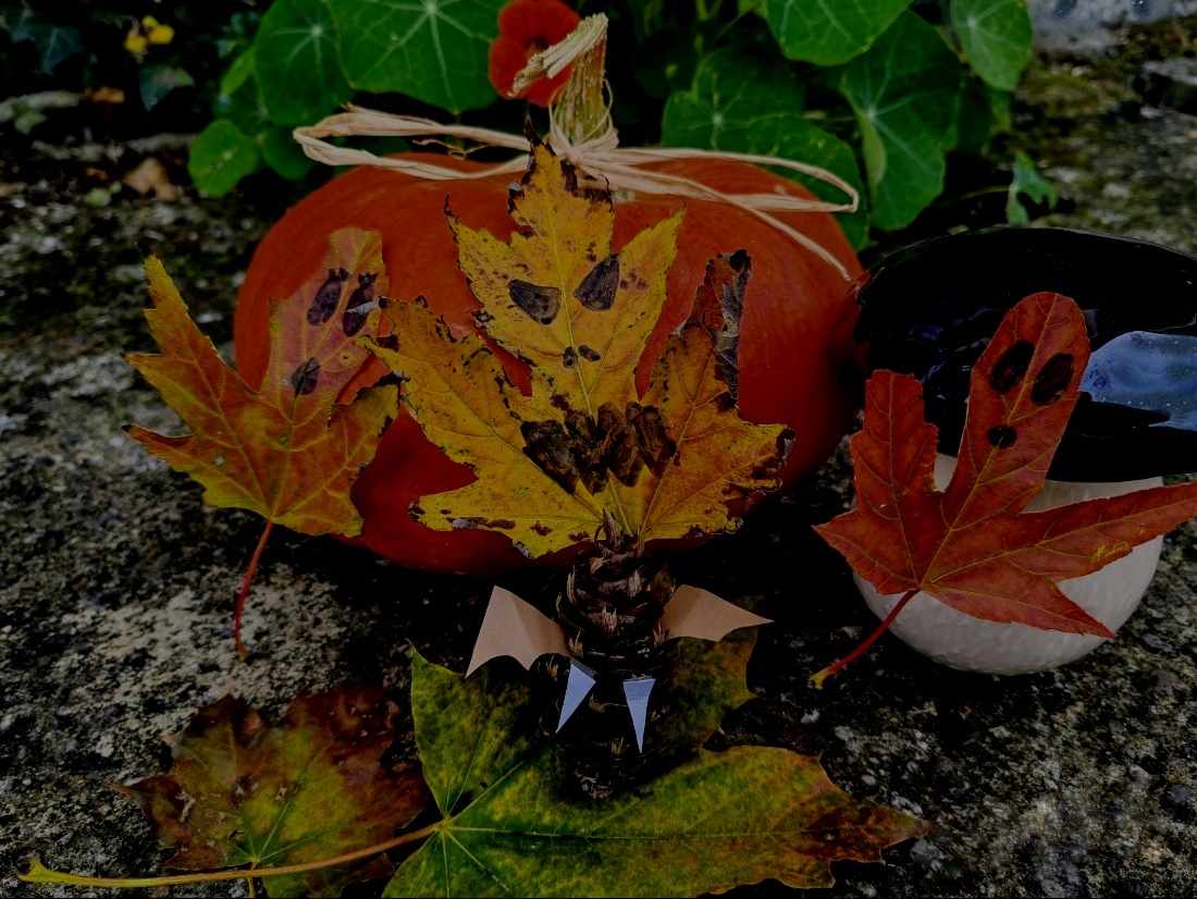 Atelier Land Art de la Frousse