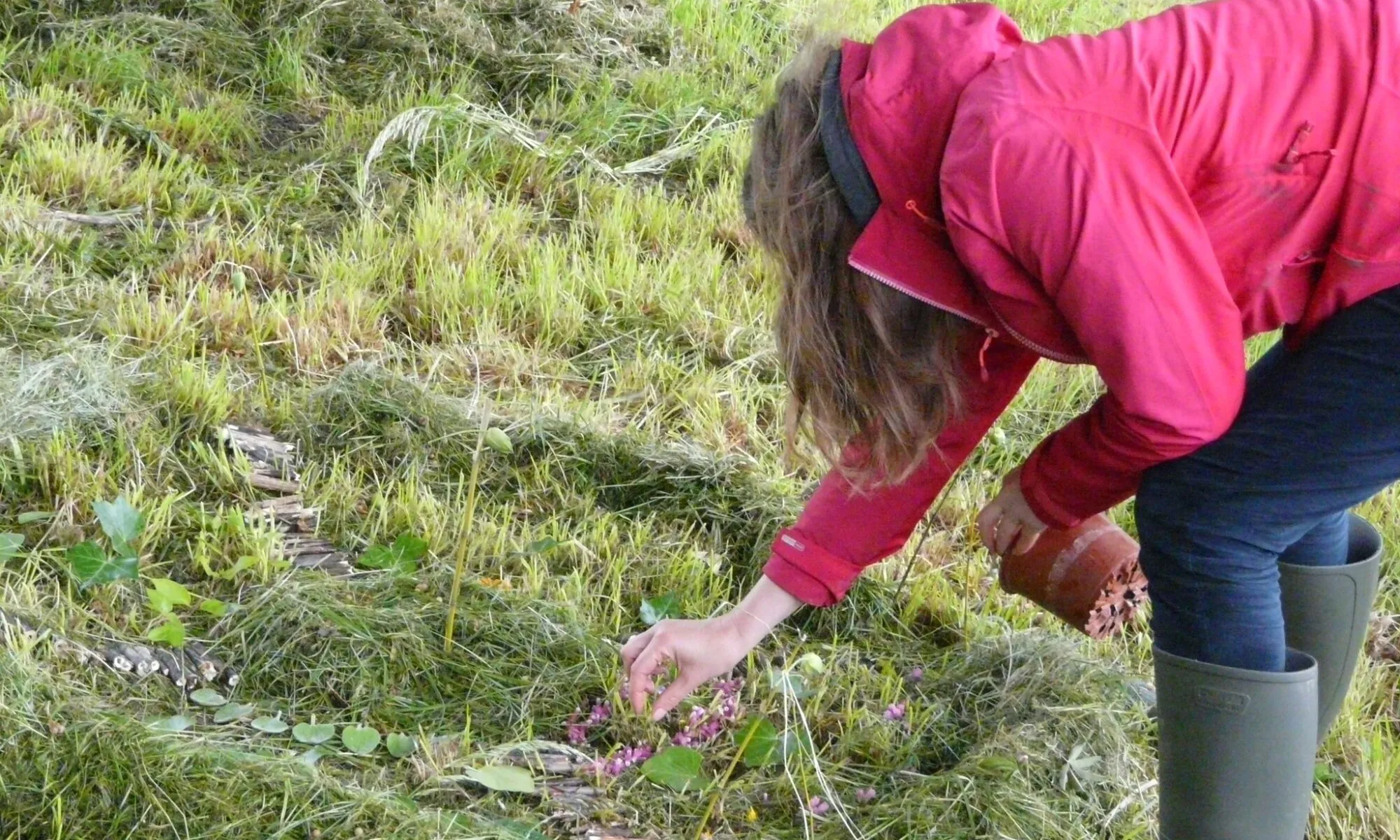 Ateliers Land Art Expérimental sur réservation